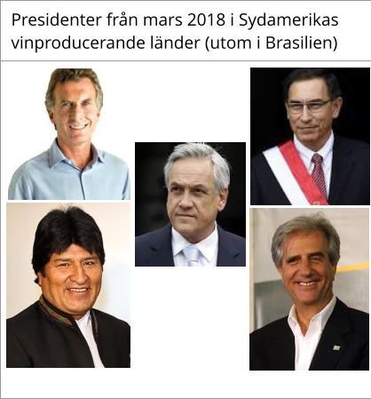 Presidenter frn mars 2018 i Sydamerikas    vinproducerande lnder (utom i Brasilien)